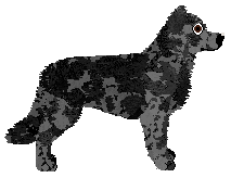 Celtic's Sunglasses — “Sun”