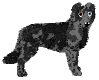 Profile image of Celtic's Sunglasses