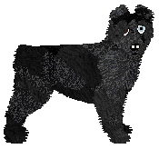 Profile image of Dragosani NIEMOŻLIWIE UROCZA