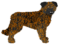 Profile image of Dragosani OCZY UROCZNE