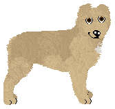 Profile image of Dragosani PUNKT KRYTYCZNY