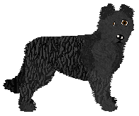 Profile image of Dragosani ZRODZONY Z MGŁY