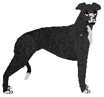 Profile image of Ethereal Flag all Unfurled