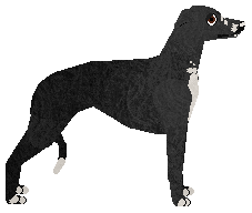 Ethereal Flag all Unfurled — “Ferry”