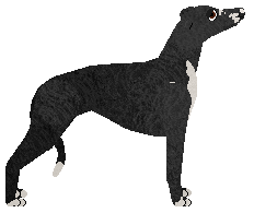 Ethereal Flag all Unfurled — “Ferry”