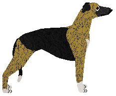 Dragosani ŁAPY W WHISKEY — “Jack Daniels”