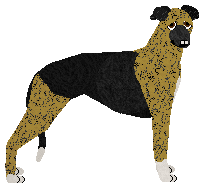 Profile image of Dragosani ŁAPY W WHISKEY