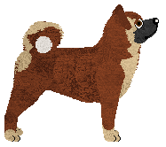 Dragosani AKUKU — “Aku”