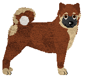 Profile image of Dragosani AKUKU