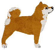 DeeOhGee Ars Dragonia — “Ars”