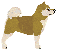 Dragosani SENTYMENTY — “Onar”