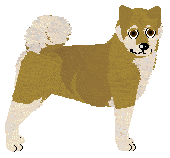 Profile image of Dragosani SENTYMENTY