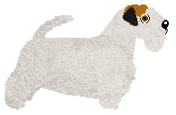 Dragosani MAKALU of My Vertical World — “Makalu”