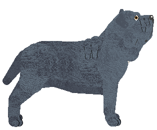 Dragosani CZAR OLBRZYMA — “Drażetka”