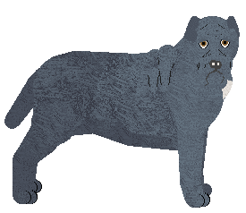 Profile image of Dragosani CZAR OLBRZYMA