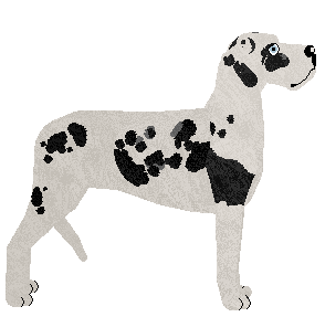 Dragosani BUNTOWNIK Z WYBORU — “Dezerter”