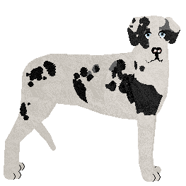 Profile image of Dragosani BUNTOWNIK Z WYBORU