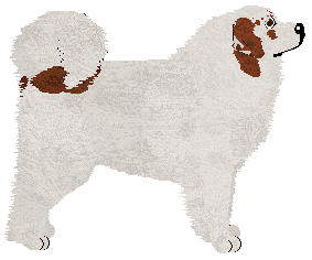 Dragosani I LOVE MOUNTAINS — “Bianca”