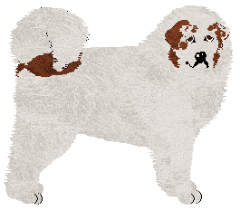 Profile image of Dragosani I LOVE MOUNTAINS