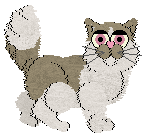 Patchwork's Bitter Ponzu — “Sudachi”