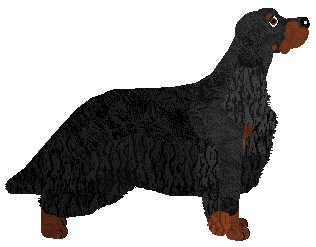 Partridge's Rogue Wave at Carousel — “Rogue”