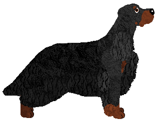 Partridge's Rogue Wave at Carousel — “Rogue”