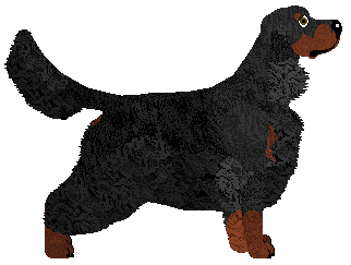 Mirror Blue's Won't You Guide — “Rudy”