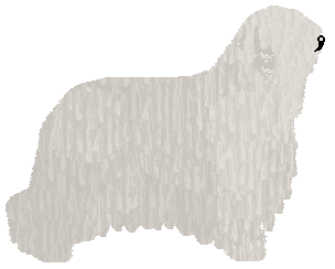 Mirror Blue's Sting and Burn — “Lido”