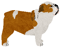 Monocle's Secret Club — “Club”