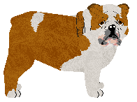 Profile image of Monocle's Secret Club