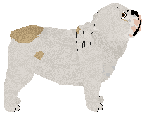 Monocle's Evil is Not Distant — “Gonk”