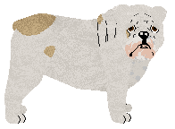 Profile image of Monocle's Evil is Not Distant