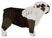 Monocle's Overboard in Madness — “Overboard”