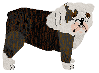 Profile image of Monocle's Overboard in Madness