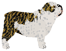 Monocle's Ever Present Evil — “Tempest”