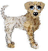 Profile image of Wild Road's Hep Alien at SzK