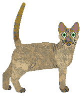 Cymophane Fulfillment and Favor — “Selene”