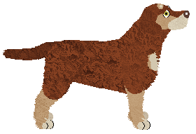 Rosestone's I Said No Spiders — “Ron”