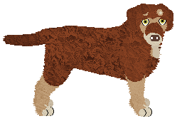 Profile image of Rosestone's I Said No Spiders