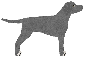 Rosestone's Nickle and Dimed — “Dime”