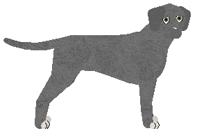 Profile image of Rosestone's Nickle and Dimed