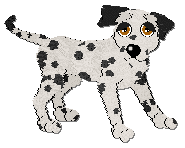 Profile image of Coach Once A Lady