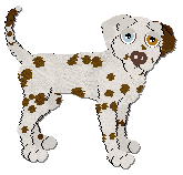 Profile image of Coach Over The Everglades