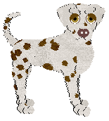 Coach Here And There — “Herbert”