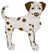 Coach Dilly Dally — “Pendleton”