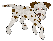 Profile image of Coach Dilly Dally