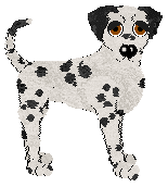 Coach Always Poised — “Rhonwen”