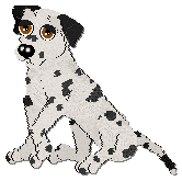 Profile image of Coach Always Poised