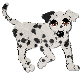 Profile image of Coach Young Chap