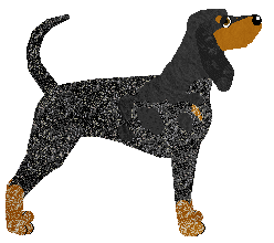 Carousel's Fright Night — “Pumpkin”